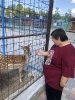 Получатели социальных услуг посетили Нальчикский зоопарк.